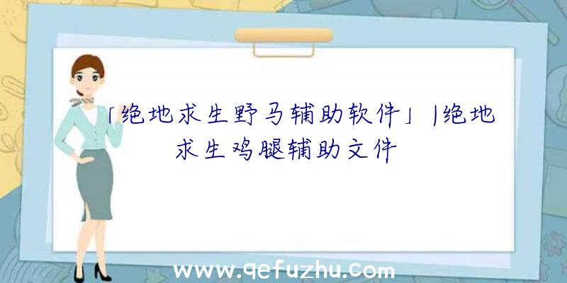 「绝地求生野马辅助软件」|绝地求生鸡腿辅助文件